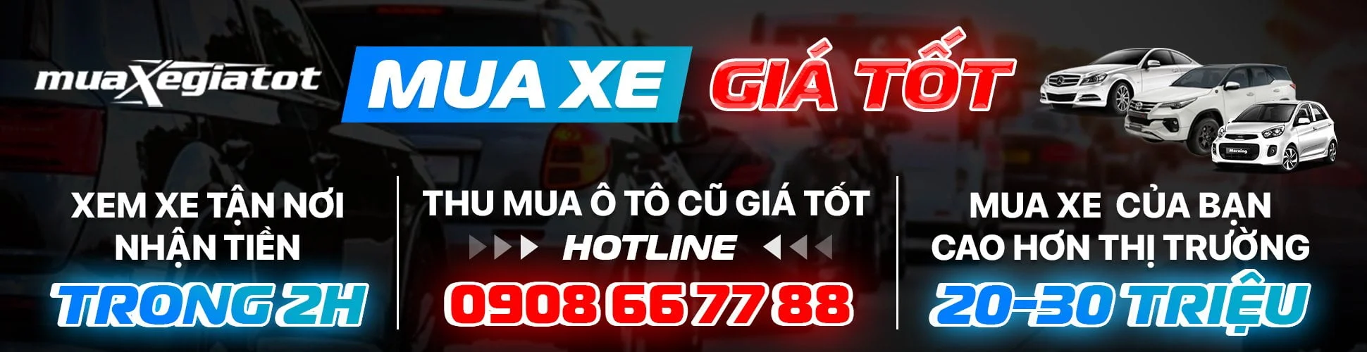 banner-thumua
